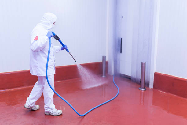 Best Boat and Dock Cleaning  in Wilberforce, OH